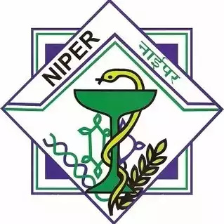 Partner 9