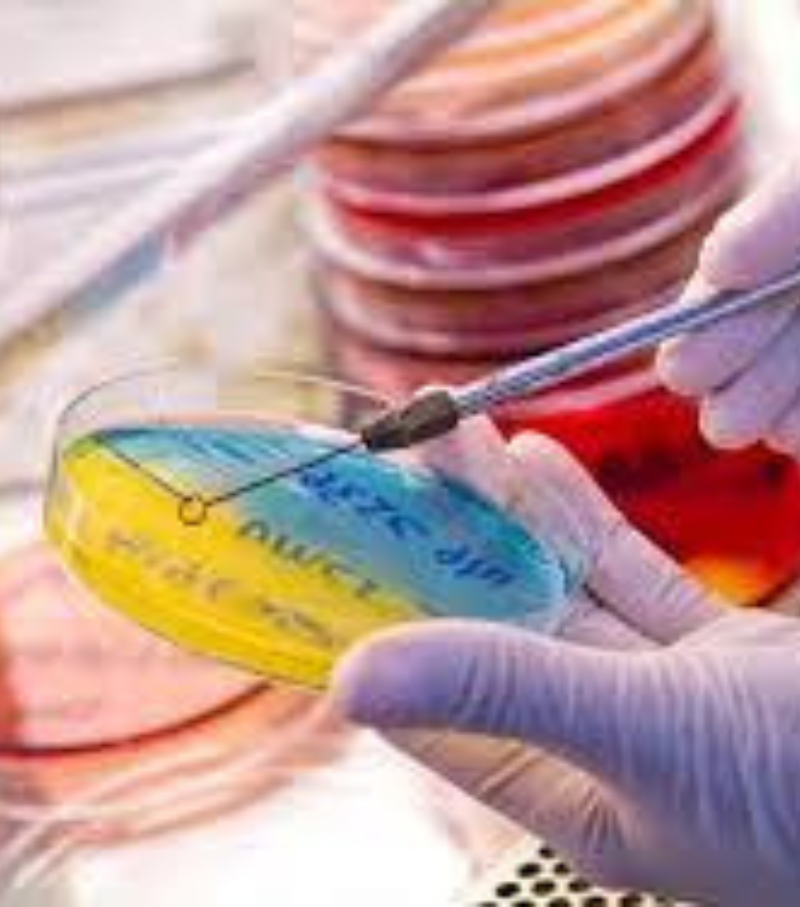 Microbiology